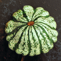  PATISSON PATISSON-Vert et jaune (Cucurbita pepo)-Graines biologique certifiées - Graineterie A. DUCRETTET