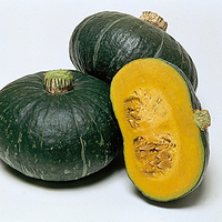  COURGE POTIMARRON BLEU COURGE POTIMARRON BLEU-SWEET MAMA F1 (Cucurbita Maxima)-Graines biologiques certifiées - Graineterie A. DUCRETTET