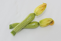  COURGETTE de diversification COURGETTE de diversification-STRIKE F1 (Cucurbita pepo)-Graines biologiques certifiées - Graineterie A. DUCRETTET