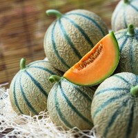 Graines potagères MELON ESTEBAN F1 (Cucumis melo) - Graineterie A. DUCRETTET