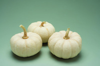  COURGE HALLOWEEN COURGE HALLOWEEN-BABY BOO (Cucurbita pepo)-Graines biologiques certifiées - Graineterie A. DUCRETTET