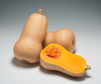  COURGE BUTTERNUT COURGE BUTTERNUT-TREVOR F1 (Cucurbita Moschata)-Graines biologiques certifiées - Graineterie A. DUCRETTET