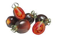  TOMATE CERISE TOMATE CERISE-NIGHTSHADE F1 (Solanum lycopersicum)-Graines biologique certifiées - Graineterie A. DUCRETTET