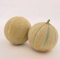  MELON MELON-SIVAN F1 (Cucumis melo)-Graines biologiques certifiées - Graineterie A. DUCRETTET