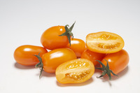  TOMATE CERISE TOMATE CERISE-DATTORANGE F1 (Solanum lycopersicum)-Graines biologique certifiées - Graineterie A. DUCRETTET